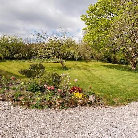 Llys Onnen - North Wales Holiday Cottage Mold Luaran gambar