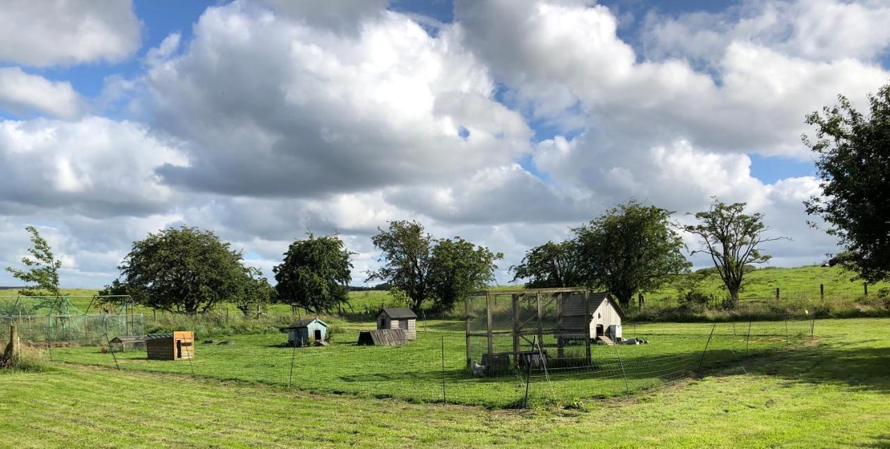 Llys Onnen - North Wales Holiday Cottage Mold Luaran gambar