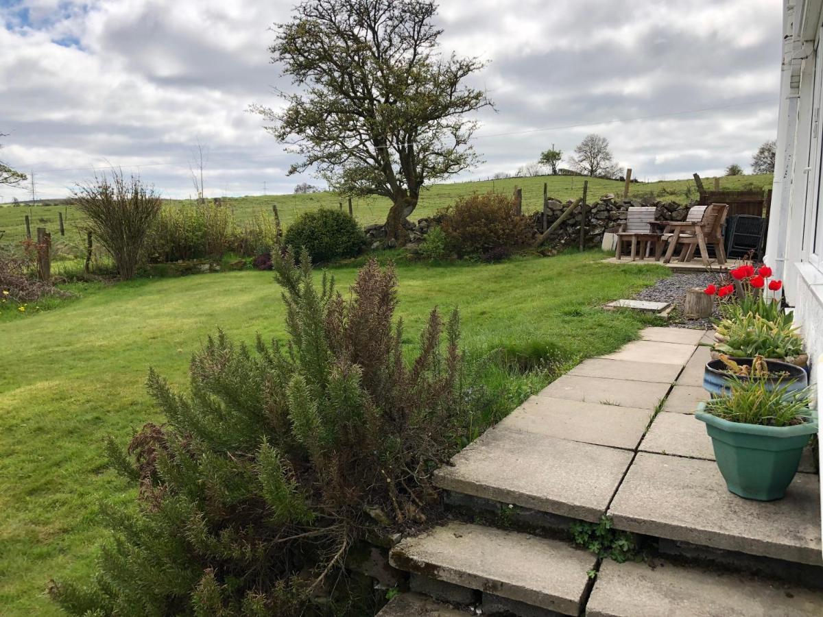 Llys Onnen - North Wales Holiday Cottage Mold Luaran gambar
